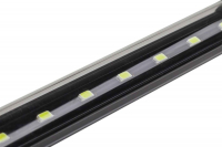 barbus led